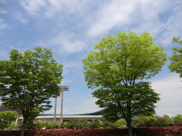 b0163121_22332024.jpg