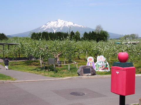 りんごの花:弘前市りんご公園*2015.05.08_b0147224_21331749.jpg