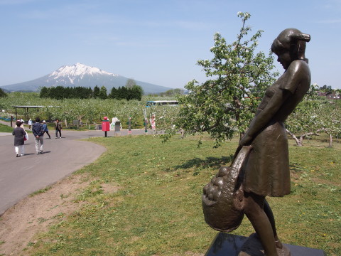 りんごの花:弘前市りんご公園*2015.05.08_b0147224_21344833.jpg