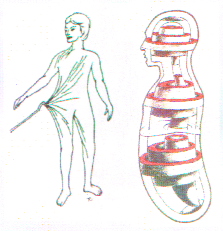 膜は神秘な存在！？_c0113928_9352298.png