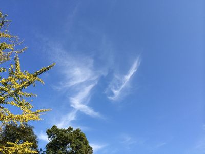 e0278631_15425626.jpg