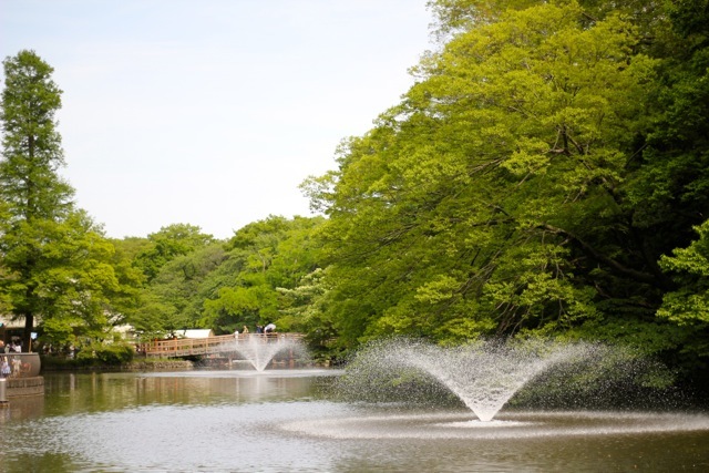 【井の頭公園】吉祥寺散策♪_f0348831_18025620.jpg