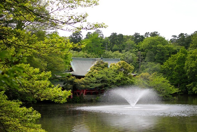 【井の頭公園】吉祥寺散策♪_f0348831_18030971.jpg