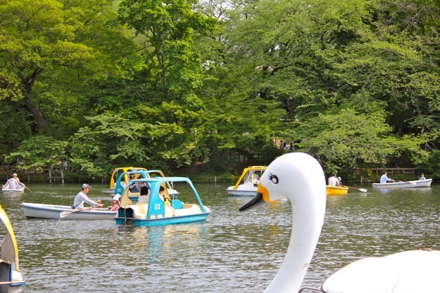 【井の頭公園】吉祥寺散策♪_f0348831_18031774.jpg