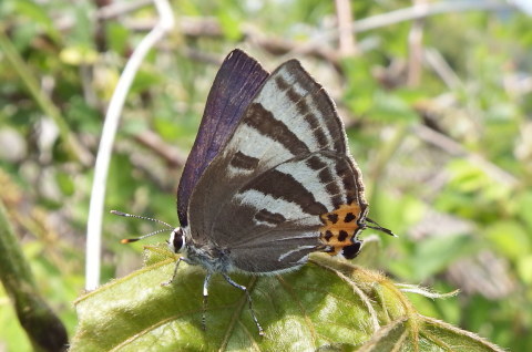 f0118332_22534905.jpg
