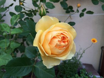 f0327534_1050345.jpg
