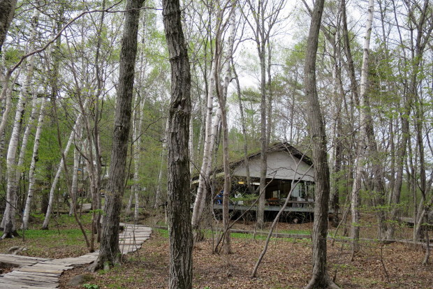 b0178339_08431763.jpg