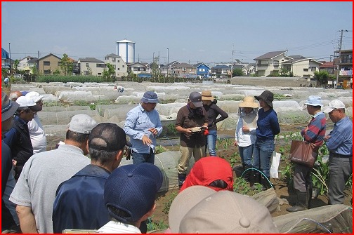 15年5月8日 金 農薬の使い方など やさい畑につかまって The Catcher In The Yasai Fields
