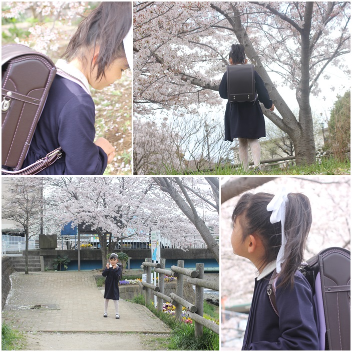 はあちゃん一年生☆_c0152341_2349556.jpg