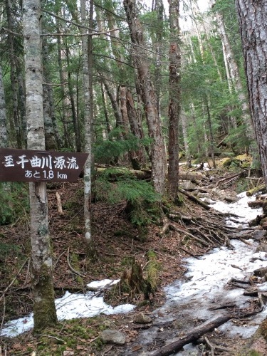 千曲水源のみち_c0369344_16152403.jpg