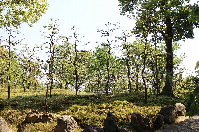 白河上皇の熊野詣の出立地『城南宮』20150425_e0237645_1725214.jpg