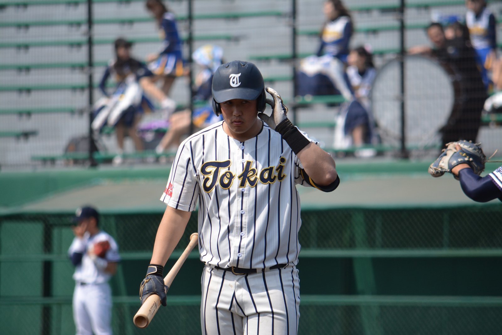 再開 : 東海大学北海道キャンパス硬式野球部