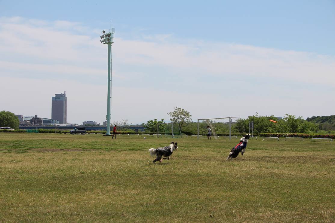 b0245048_582973.jpg