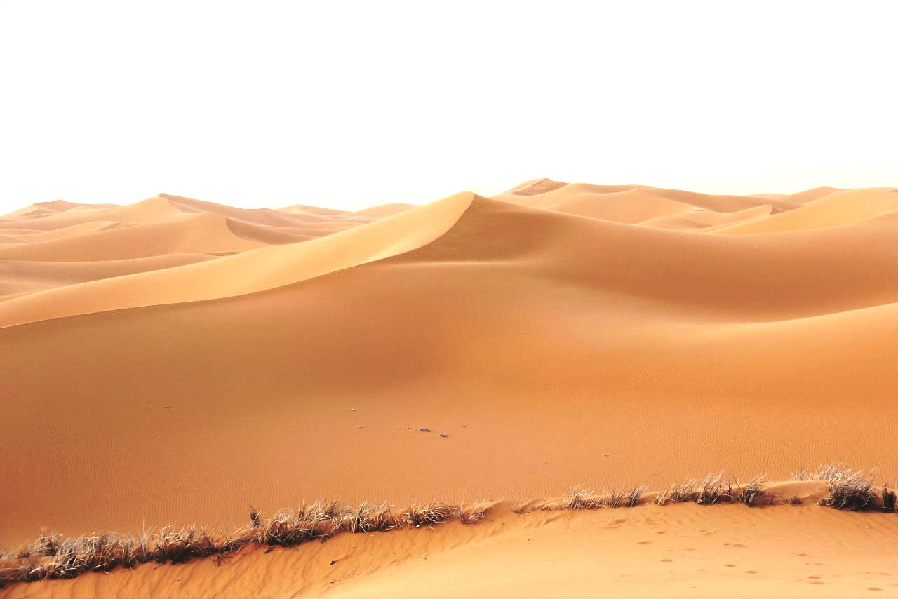【世界の砂漠】　アルジェリアのサハラ砂漠_c0011649_10355367.jpg