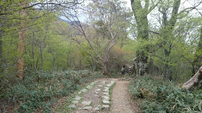 b0148050_810855.jpg