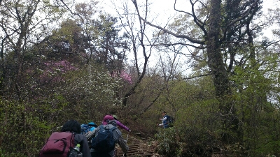 b0148050_8112071.jpg