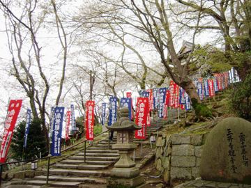 三井寺（園城寺）の桜④（大津市）_d0049152_16211889.jpg