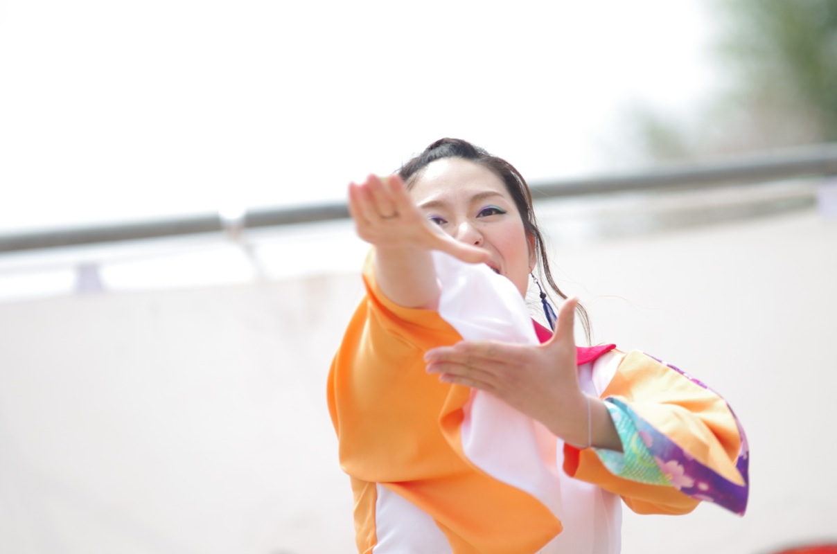 篠山よさこい２０１５その２（踊る阿呆虎拍会）_a0009554_22434036.jpg