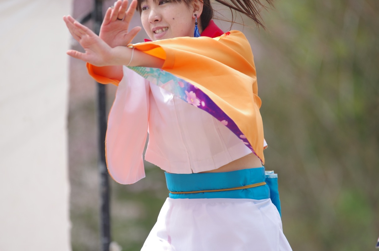 篠山よさこい２０１５その２（踊る阿呆虎拍会）_a0009554_2249492.jpg