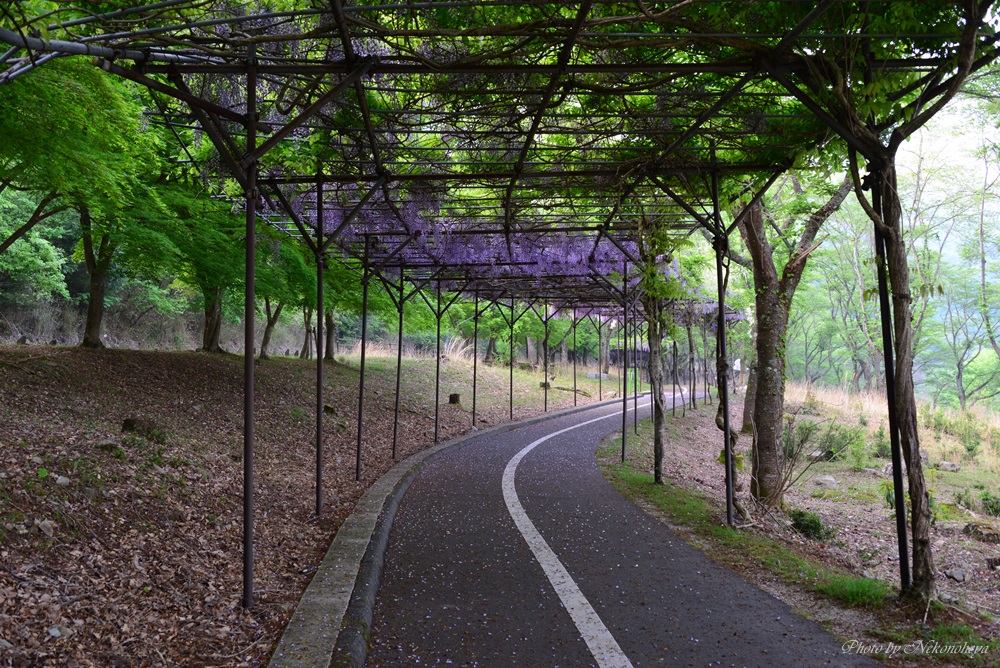 c0122455_2511126.jpg