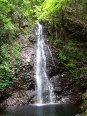 新緑の檜原村_d0082655_130220.jpg