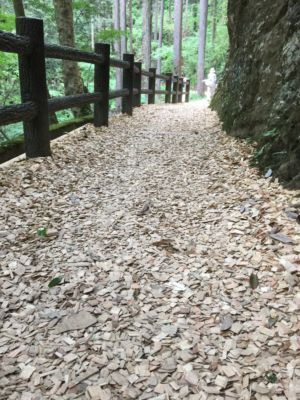 新緑の檜原村_d0082655_1322669.jpg
