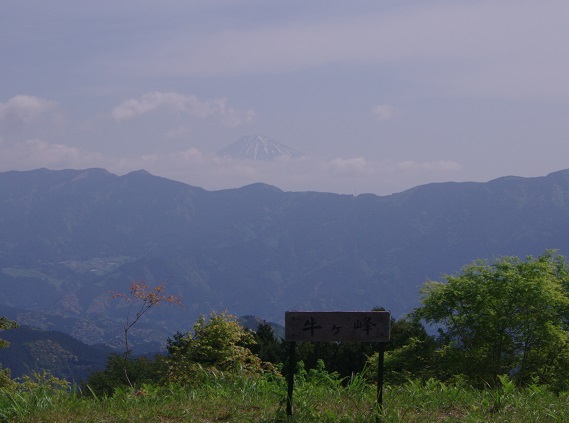 d0164761_859042.jpg