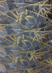 b0159571_93323.png