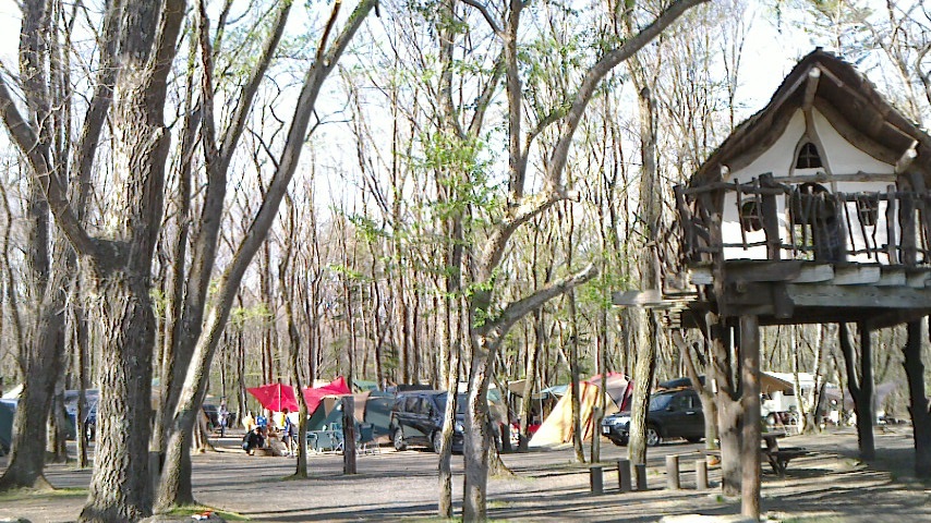 f0131183_0475590.jpg