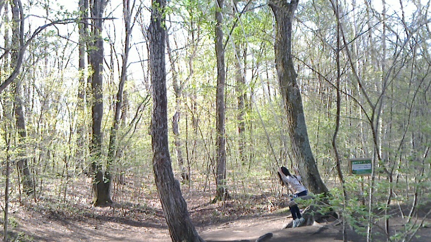 f0131183_048169.jpg