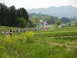 田植え体験(上目黒小・枝野小)_d0247484_1651860.jpg