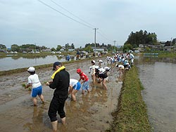 田植え体験(上目黒小・枝野小)_d0247484_1701866.jpg