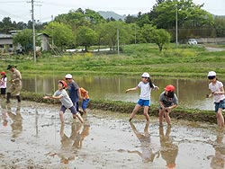 田植え体験(上目黒小・枝野小)_d0247484_17112482.jpg