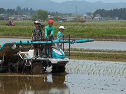 田植え体験(上目黒小・枝野小)_d0247484_17411660.jpg