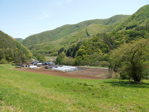 今年のわが家の5月連休_f0236291_632112.jpg