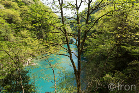 c0173794_11174190.jpg