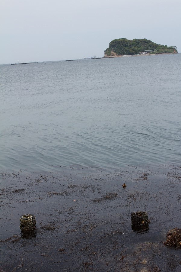 c0204298_15331321.jpg
