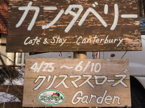 「カンタベリー・クリスマスローズ・ガーデン2015」花コレクションvol.1_f0276498_23585324.jpg