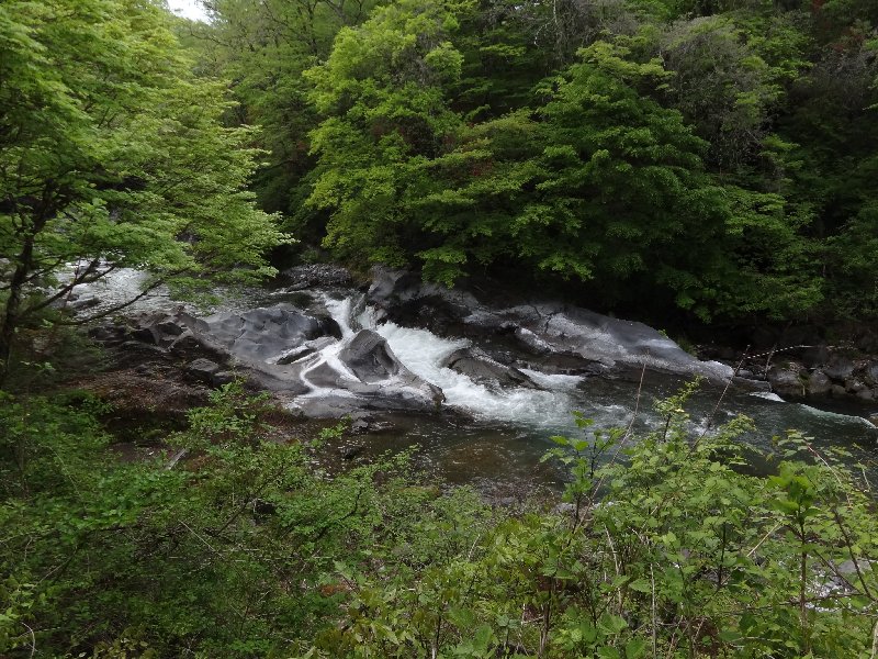 f0220504_1671044.jpg