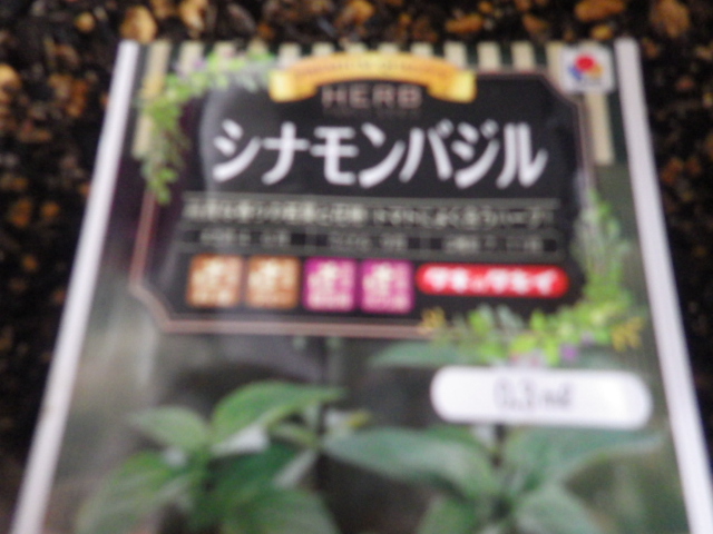 c0280206_6132282.jpg