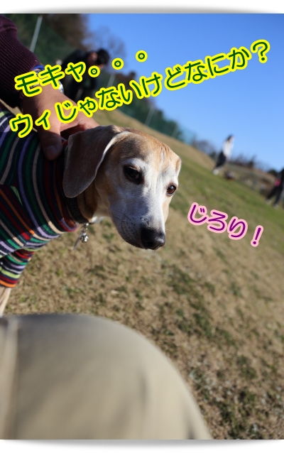 e0100007_21133348.jpg