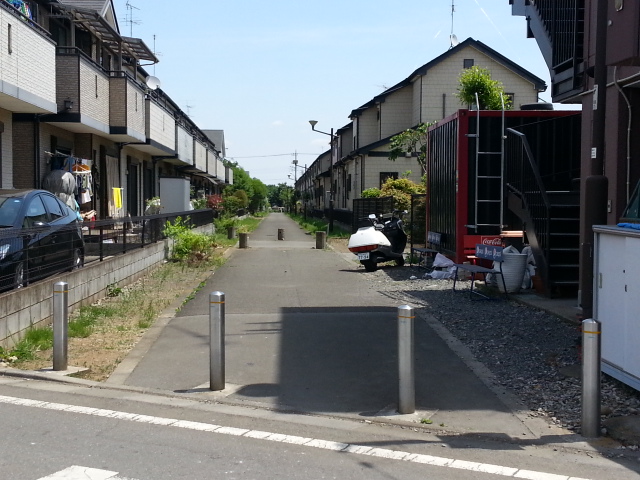 5/3　春の羽村山口軽便鉄道廃線跡ウォーキングVol.1_b0042308_2355729.jpg