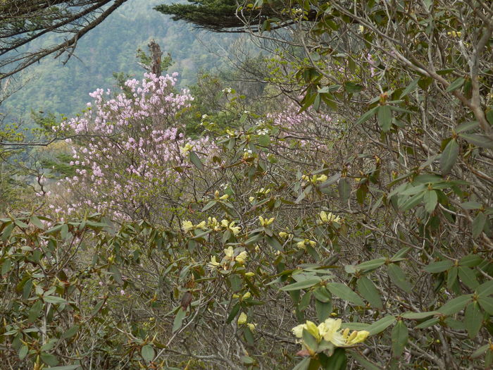 f0219710_1635286.jpg
