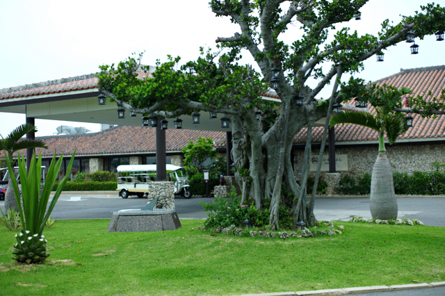 e0046212_9421946.jpg