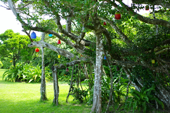 e0046212_94646.jpg