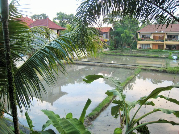 f0032812_20371155.jpg
