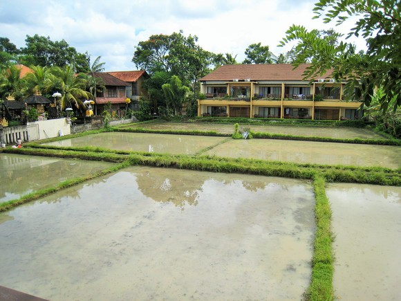 f0032812_2044083.jpg