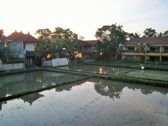 f0032812_2072823.jpg