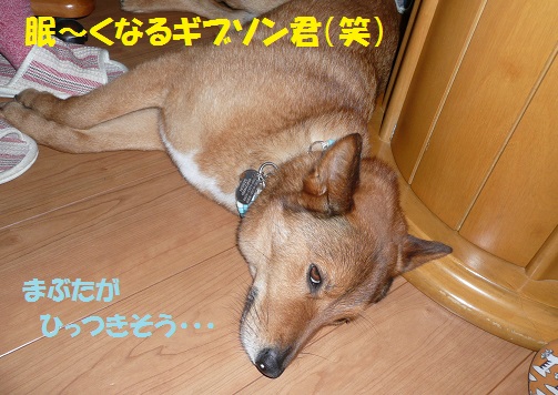 f0121712_23134119.jpg