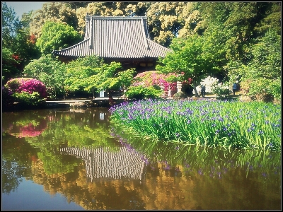 花めく初夏［長岳寺］_d0277422_22144425.jpg